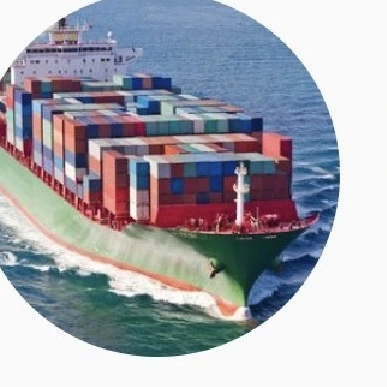 Container ship transporting goods internationally